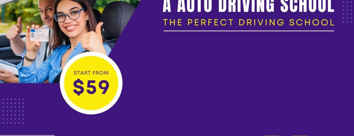 Student completing low cost online driving course